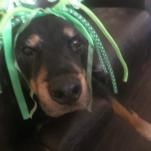 Meet your Posher, Danielle